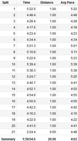 朝ランニング 市原バイパス往復 20km 2015/06/20