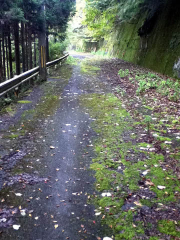 杉の里トンネル 周山街道旧道